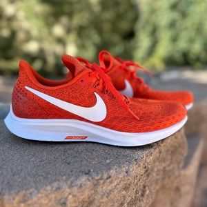 Nike Zoom Pegasus 35